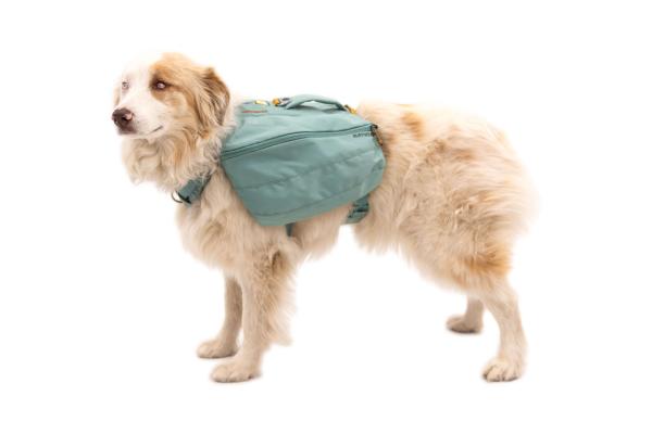 Ruffwear Front Range Day Pack River Rock Green Gr. S